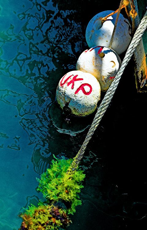 Floats and rope