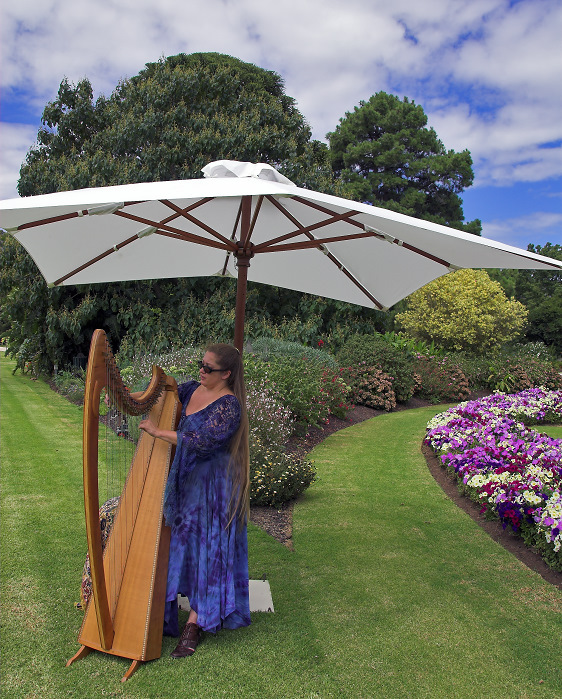Harp player
