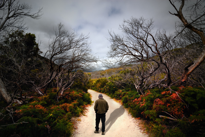 Wilsons Promontory - Victoria