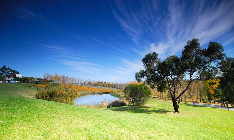 o6/99/380799/1/59189751.XOPOok9A.Thedamandvalley.jpg