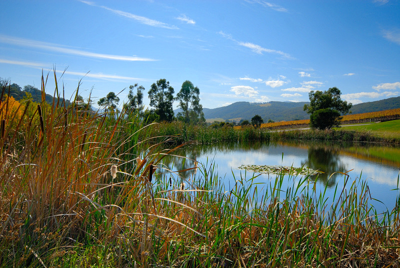 o6/99/380799/1/59488613.6ZlY2NK1.TarrawarraAutumnPond.jpg