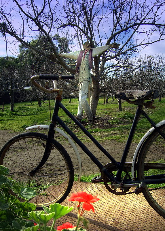 To ride away and be free