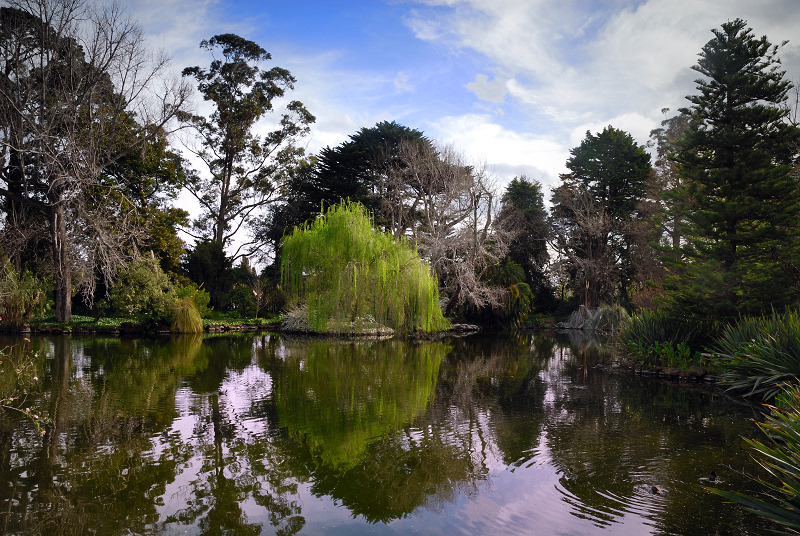 Ripponlea Lake