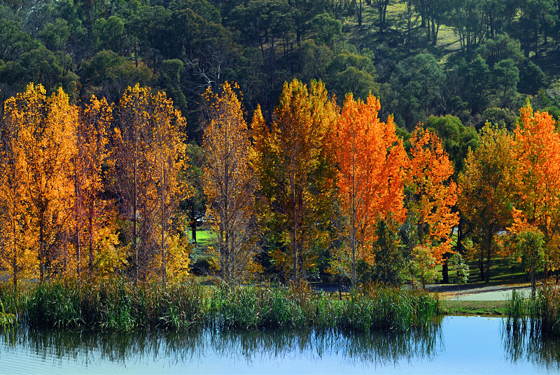 Autumn on the lake