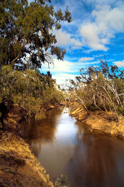 River banks Echuca