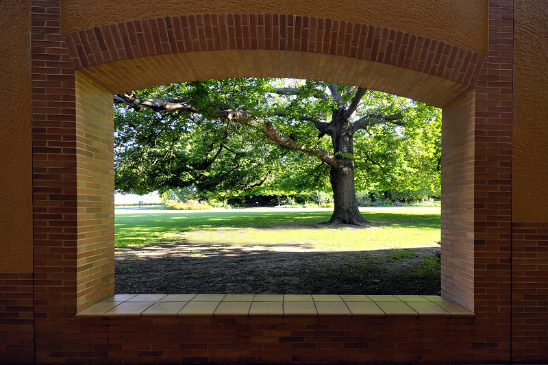 Garden view through the arch