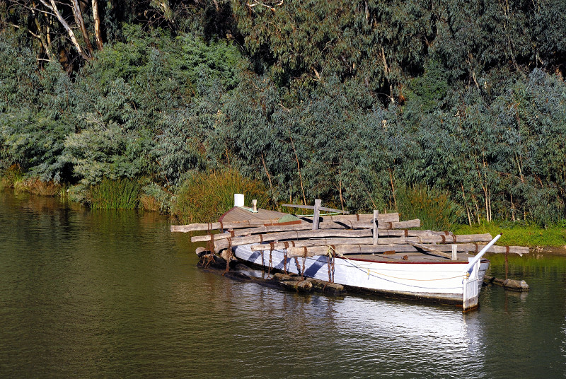 Barge on the Murray River