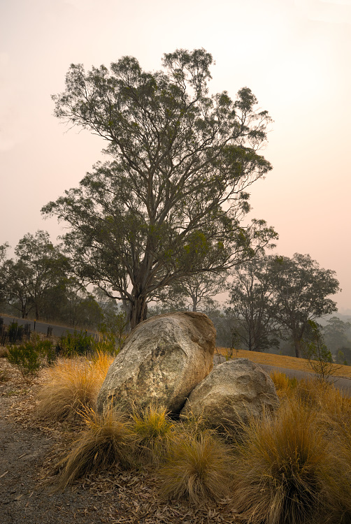 Boulders on the hill