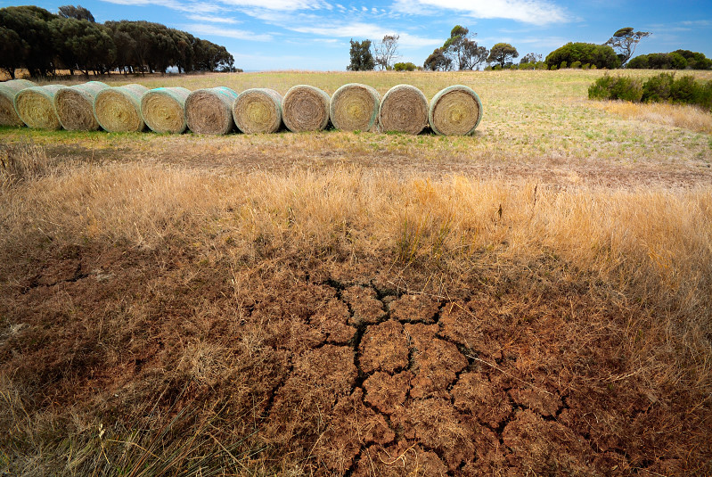 Drought on the farm