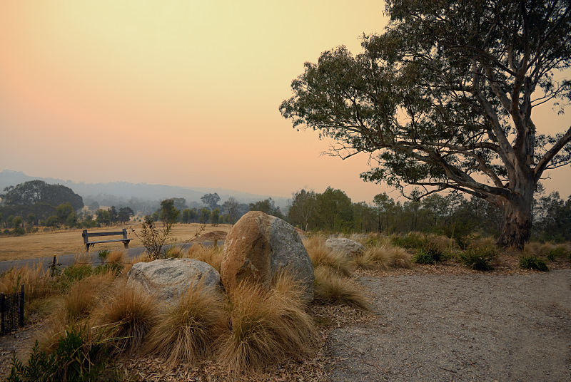 Westerfolds hazy afternoon