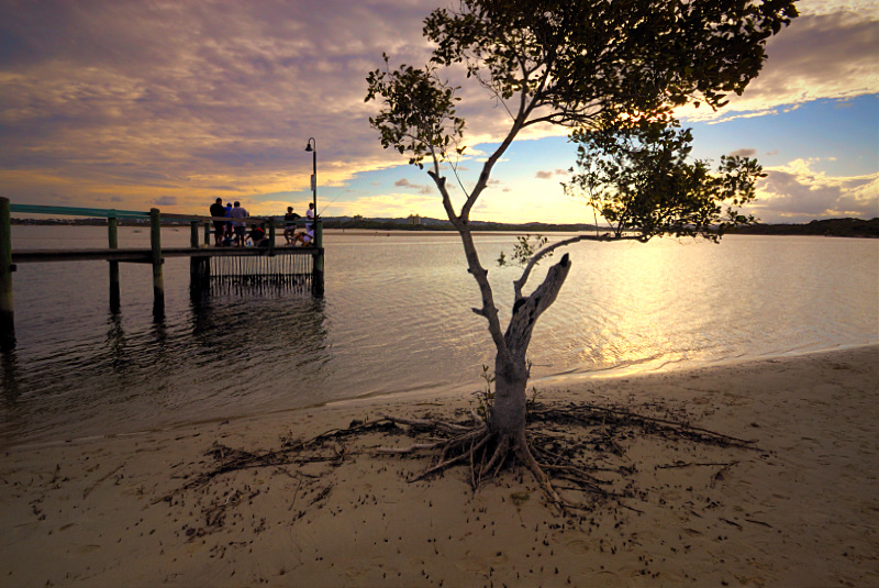 Fishing on Goat Island
