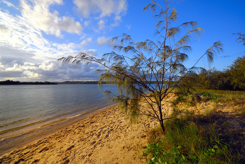 Goat Island beach