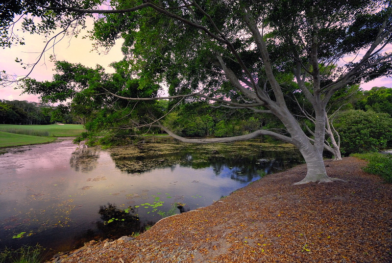 Lake sunset at Twin Waters