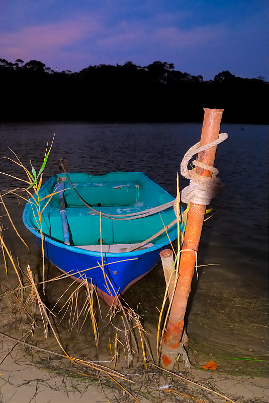 Rowing boat in the reeds