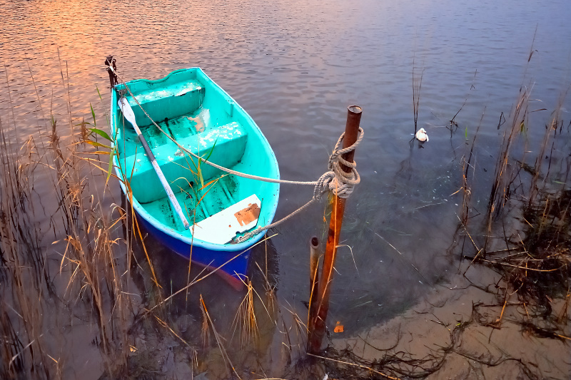 Rowing boat in the sunset