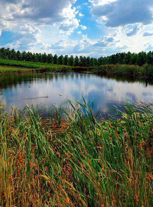 o6/99/380799/1/74513877.WXEtUMg5.Blueskyreflectionsonthelake.jpg