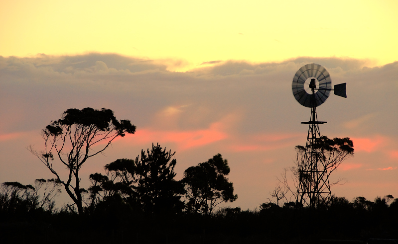 Windmill in motion