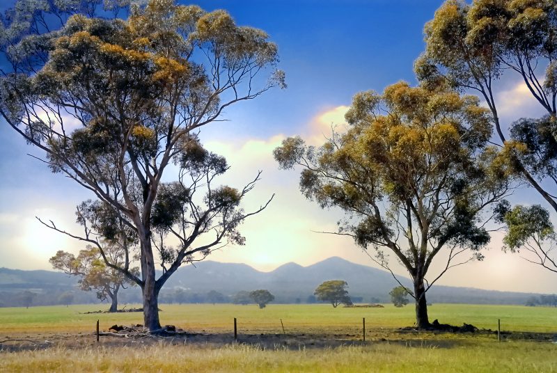 Flinders Peak
