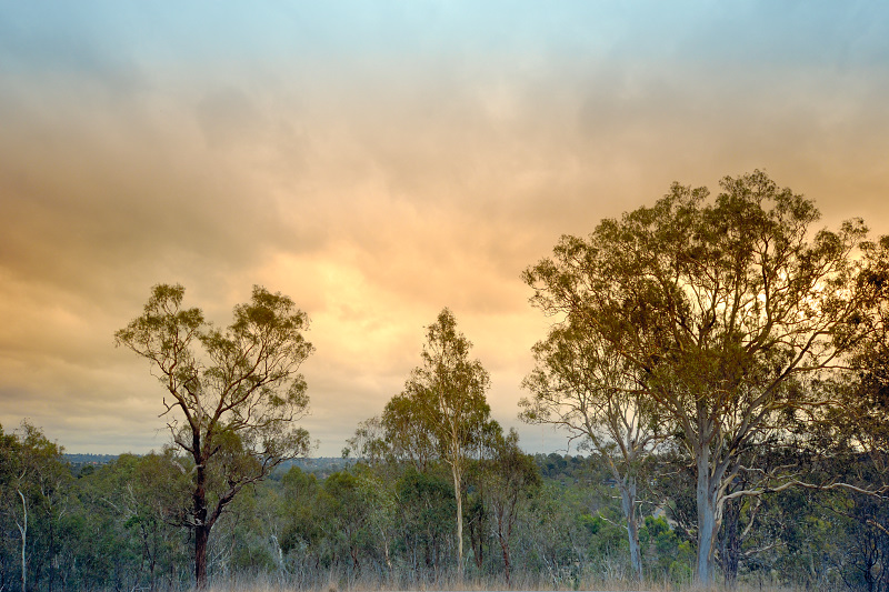 Stormy evening in the Park