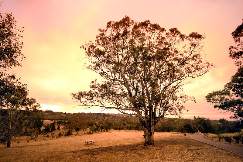 Westerfolds sunset