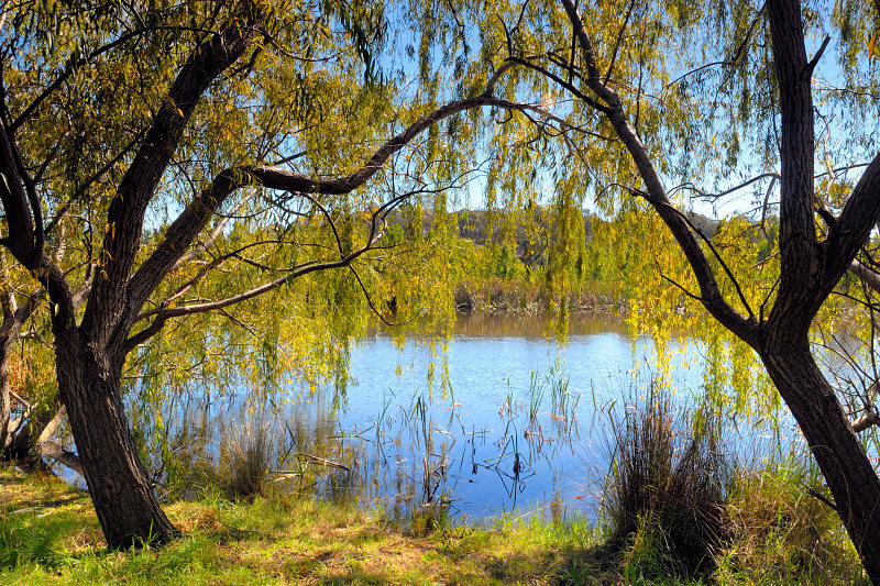 o6/99/380799/1/76472283.lMslWRFj.Ontheedgeofthepond.jpg
