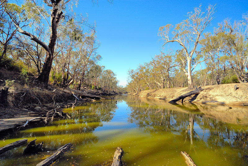 Murray River at Echuca