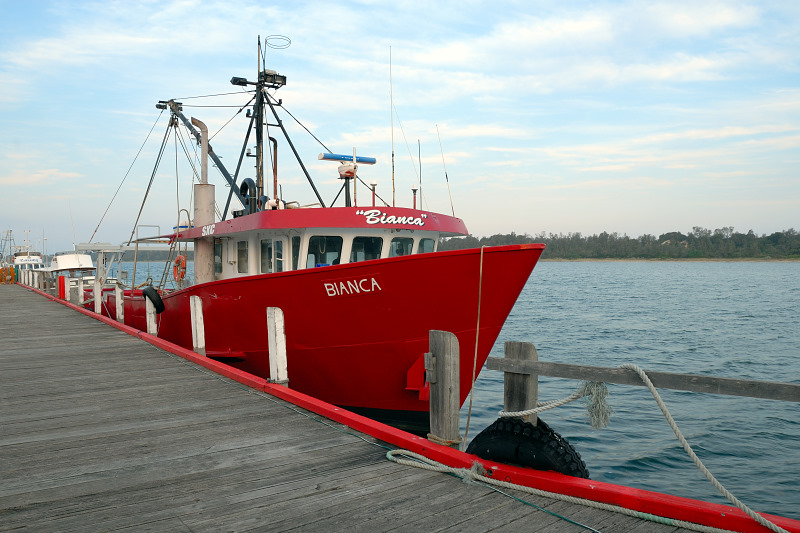 The Bianca