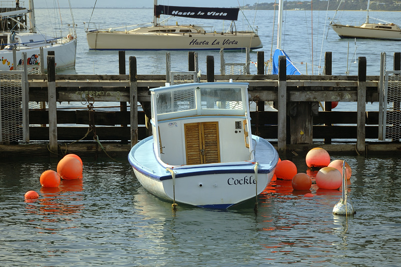 Cockle and buoys