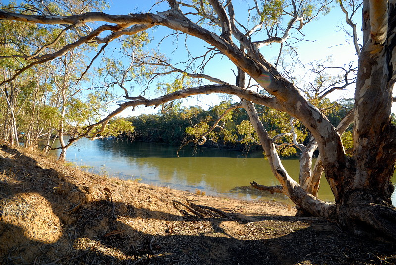 River view