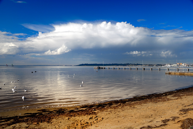 Geelong beach