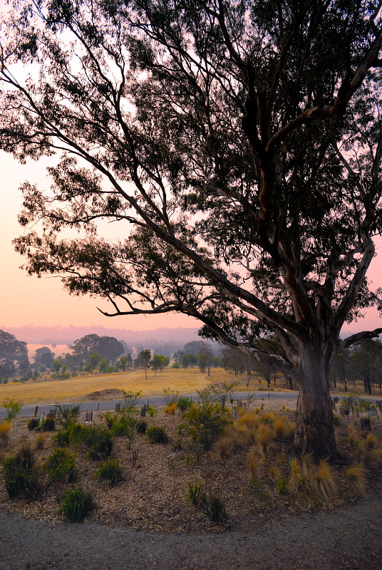 As dusk falls