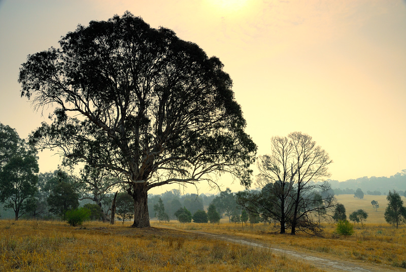 Late hazy afternoon