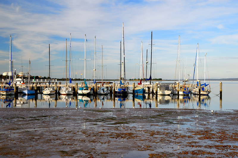 Yatchs at Hastings