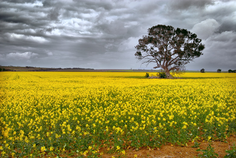 Western Victoria