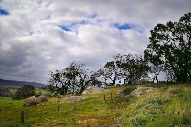 The Brisbane Ranges - Victoria