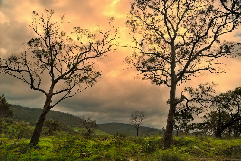 Dusk on the ranges