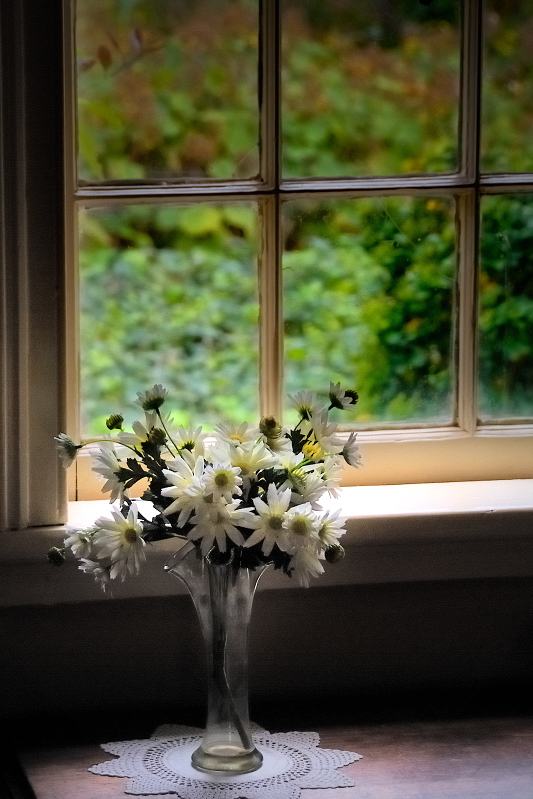 Flowers by the window 2