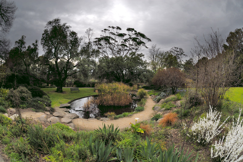 The garden
