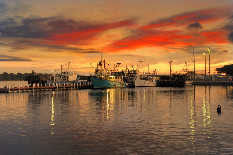 Harbor in the sunset