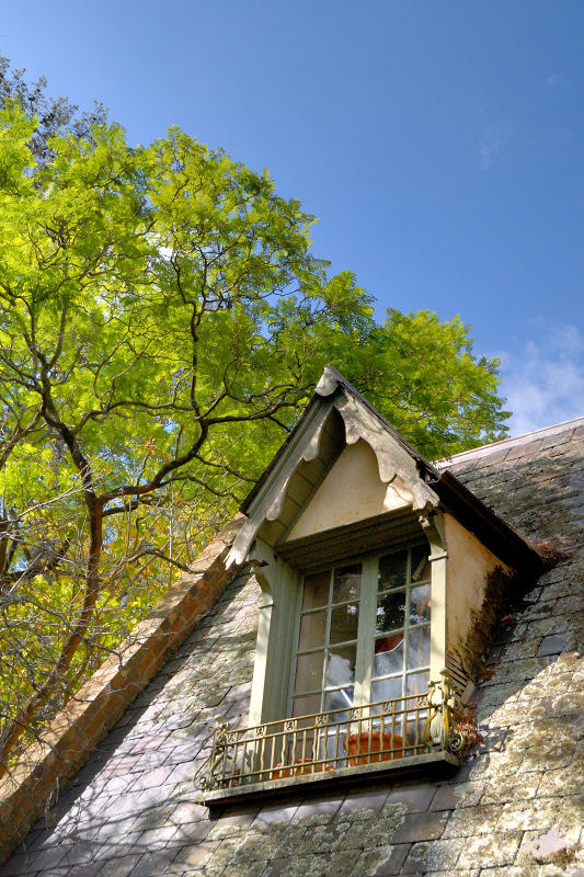 French attic window