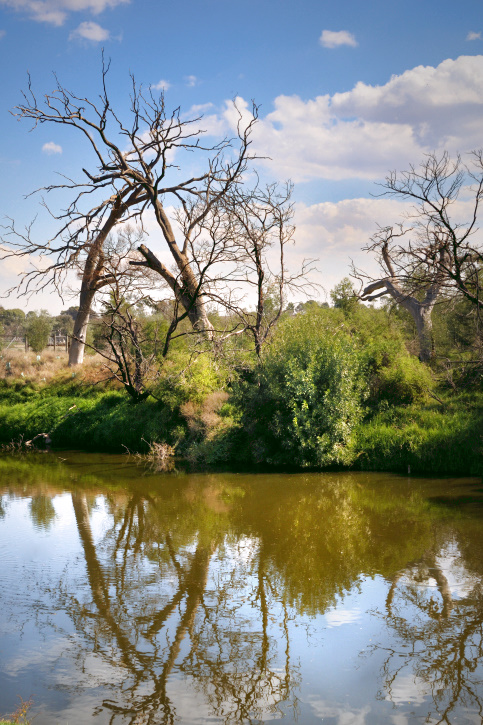 Werribee Riverbank