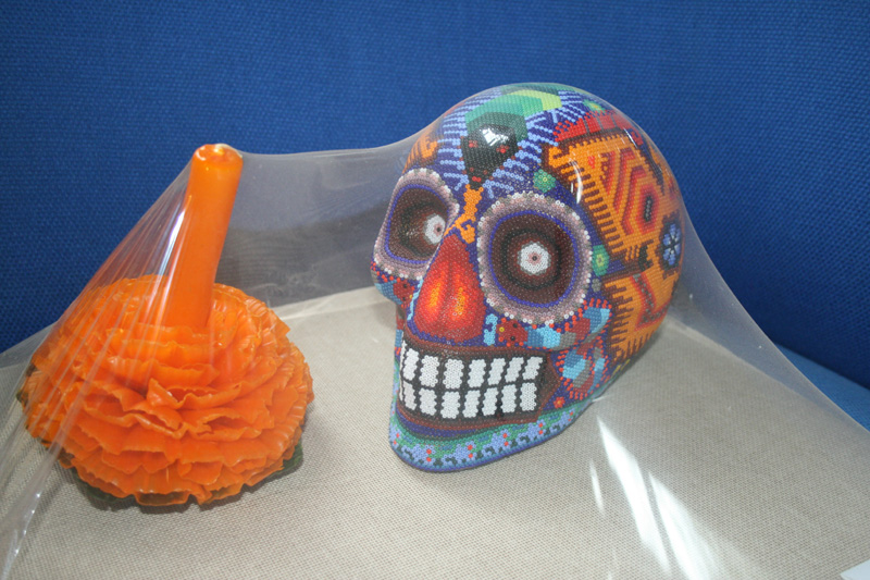 huichol skull under wraps, Adrianas office, Museo Dolores Olmedo Patio