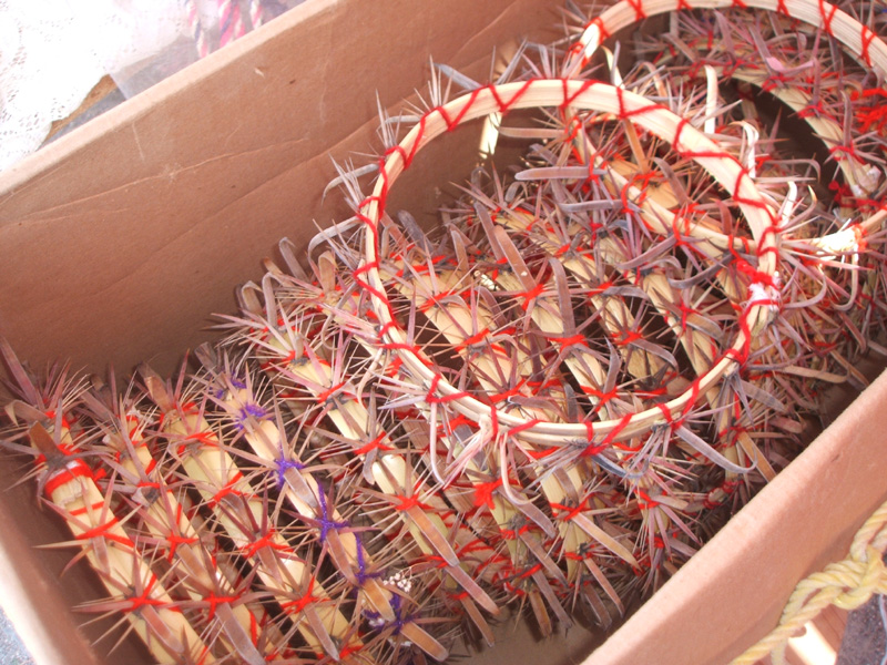 crown of thorns, Atotonilco market