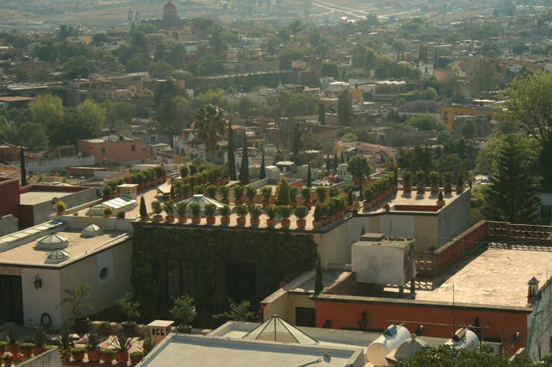 nearby roof gardens, Casa Sierra Nevadas