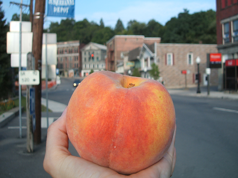 peach, Susquehanna, 2006