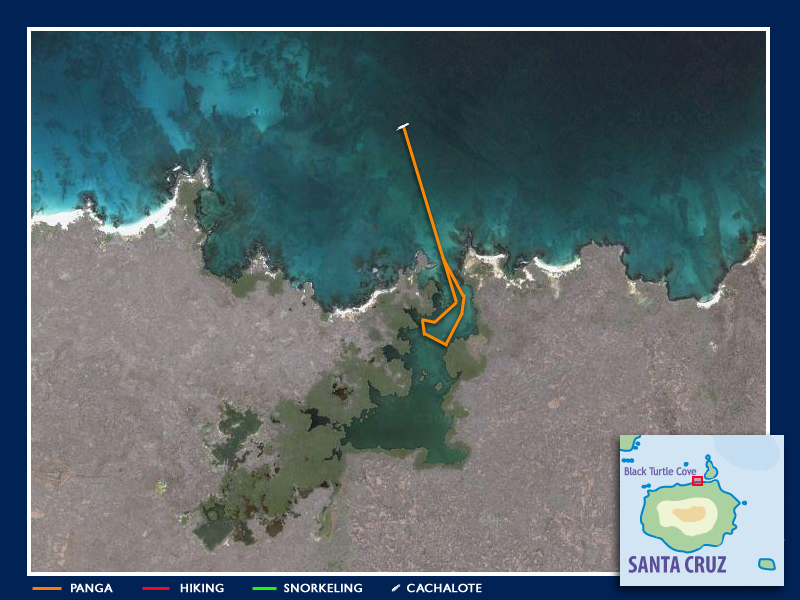 Our panga route through Black Turtle Cove