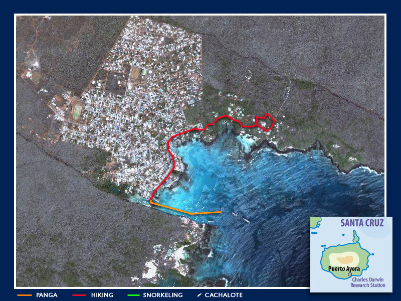 our route through Puerto Ayora on Santa Cruz