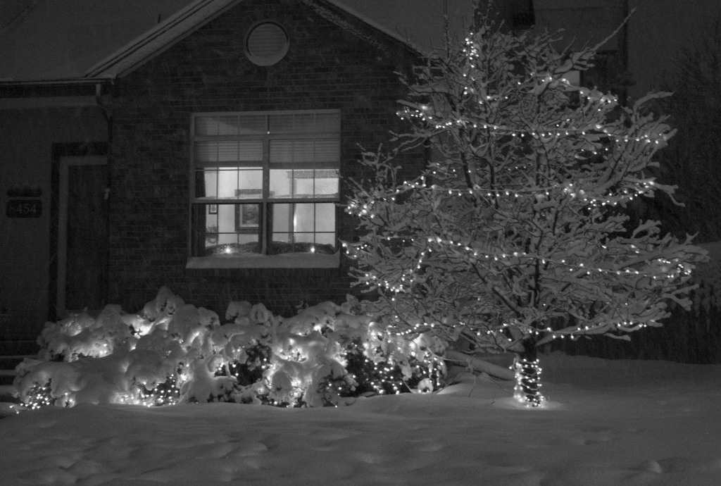Christmas Lights