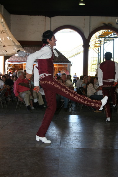 IMG_3098_resize.JPG