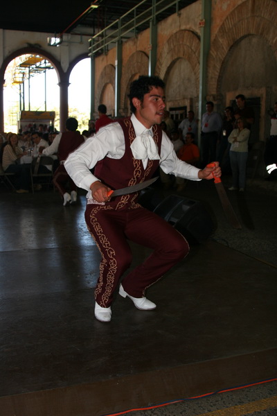 IMG_3100_resize.JPG